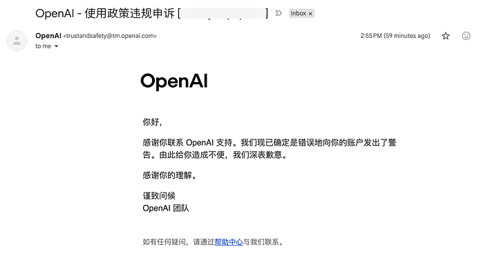 OpenAI 申诉回复示例一