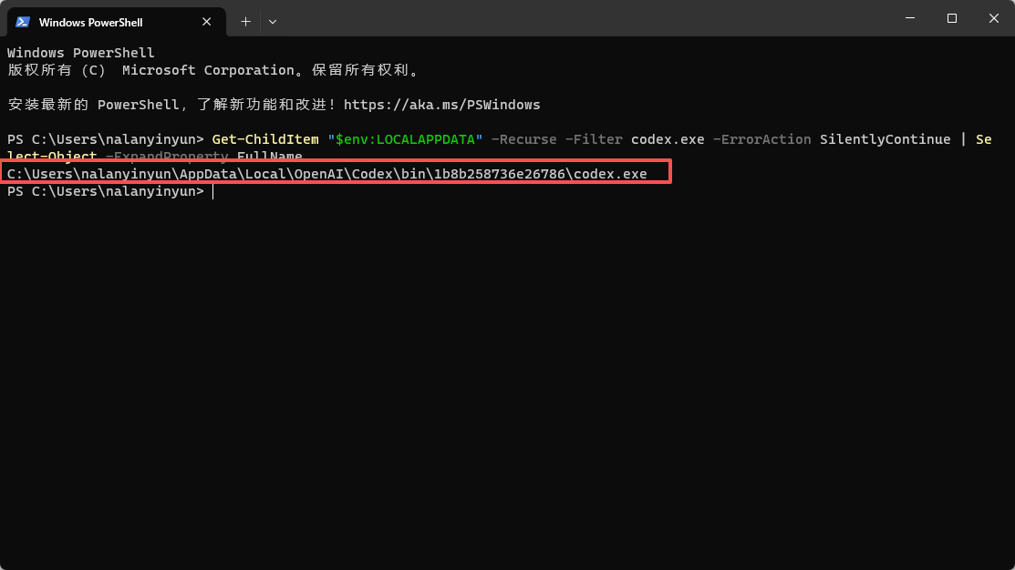 PowerShell 输出 codex.exe 完整路径