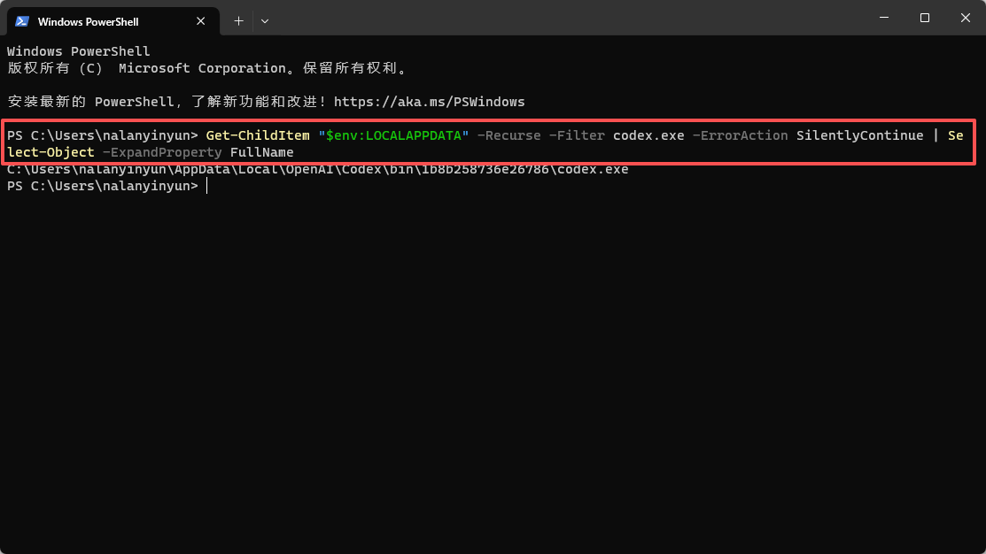 在 PowerShell 中输入 codex.exe 查找命令